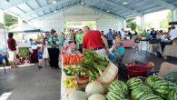 farmers market