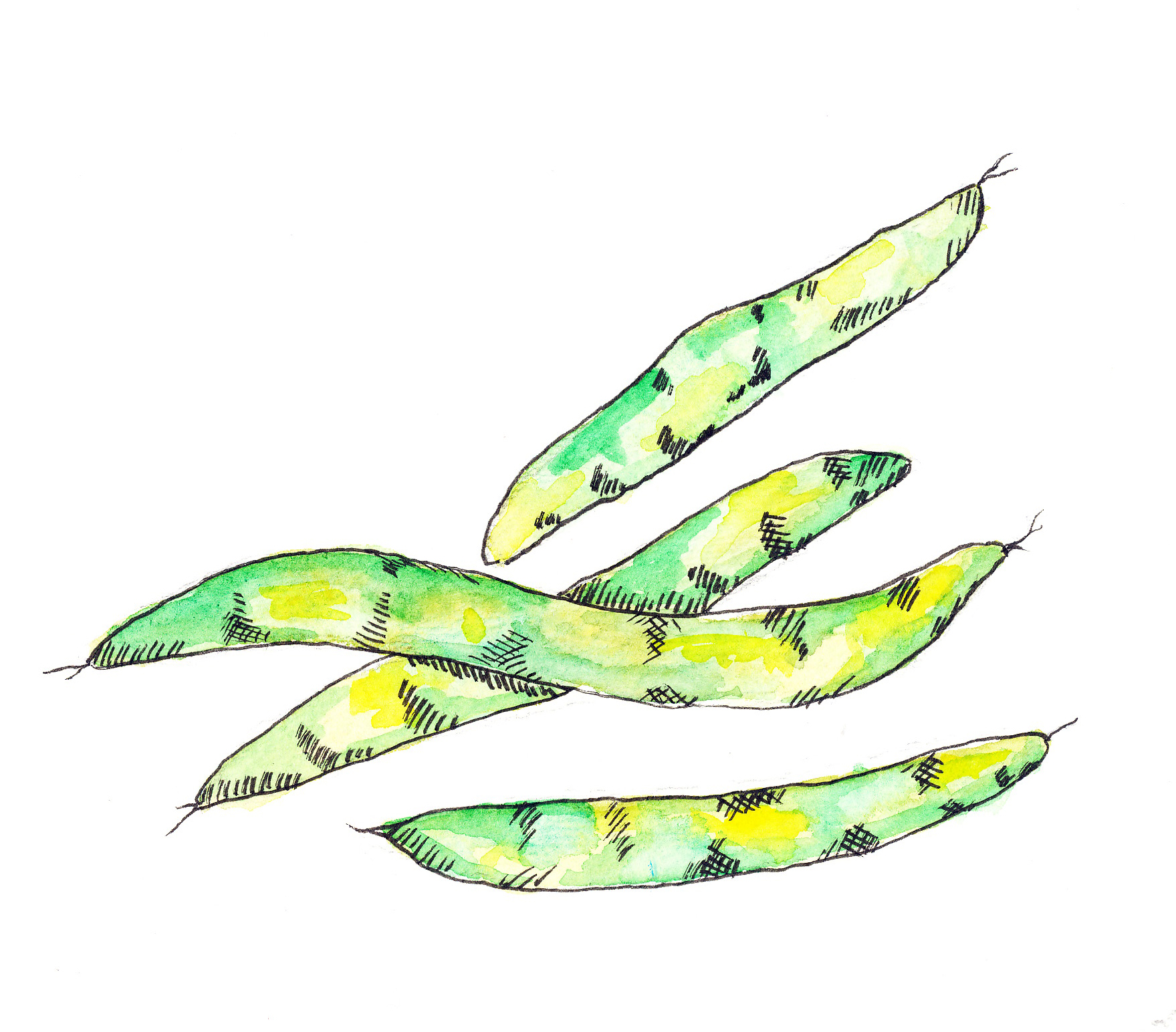 Green beans