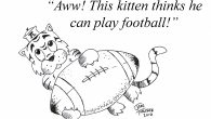 kitten, auburn, football