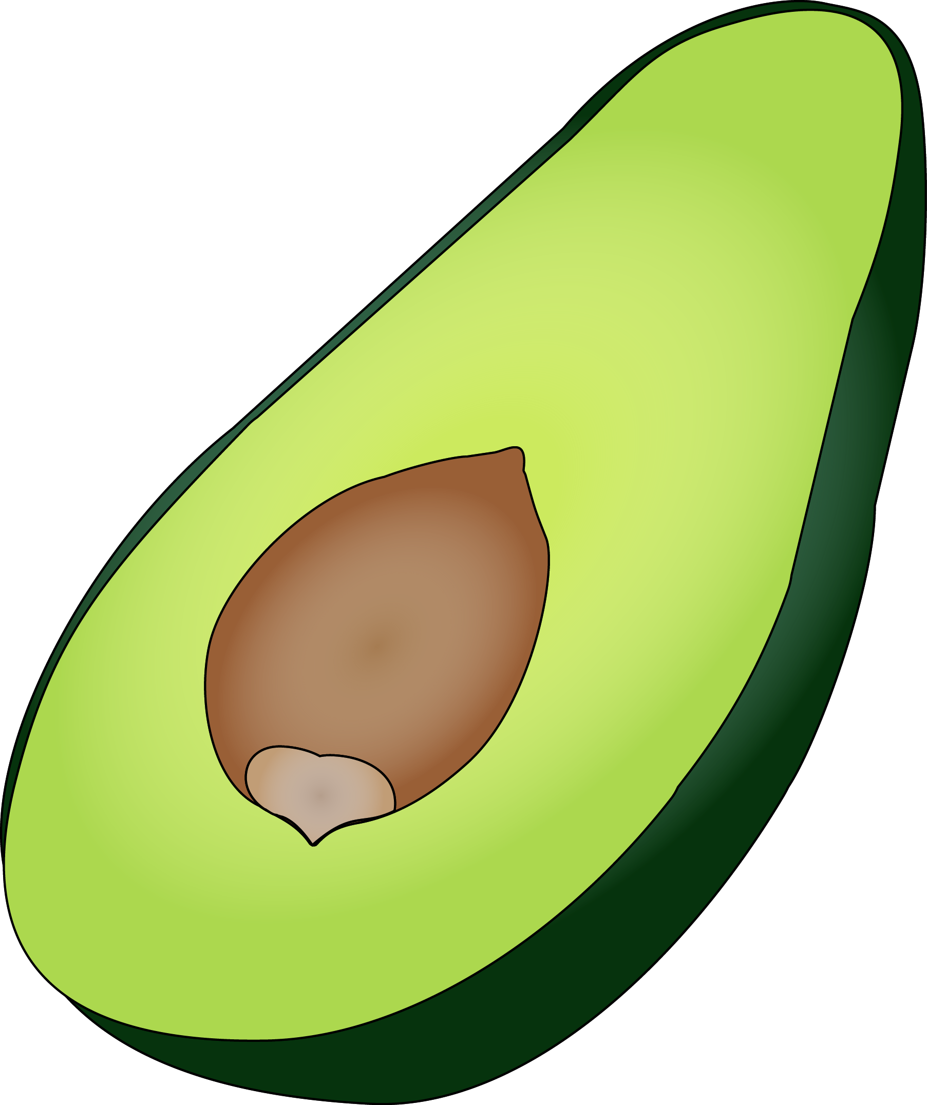 avocado