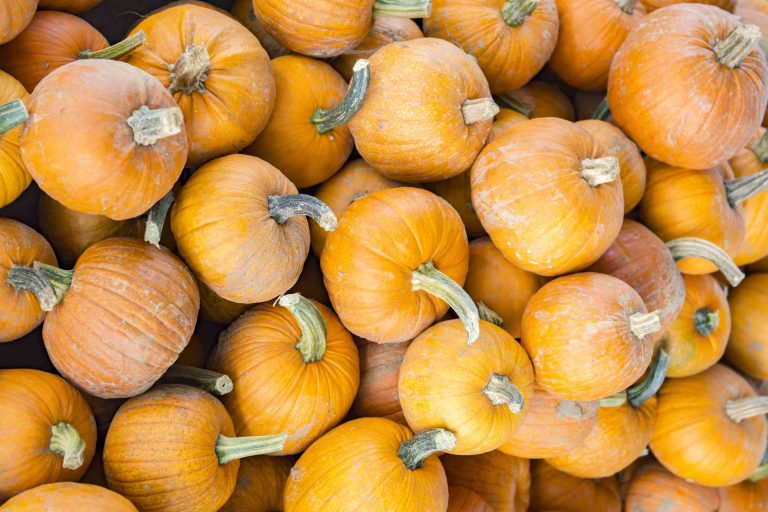 Where to get spooked this Halloween season