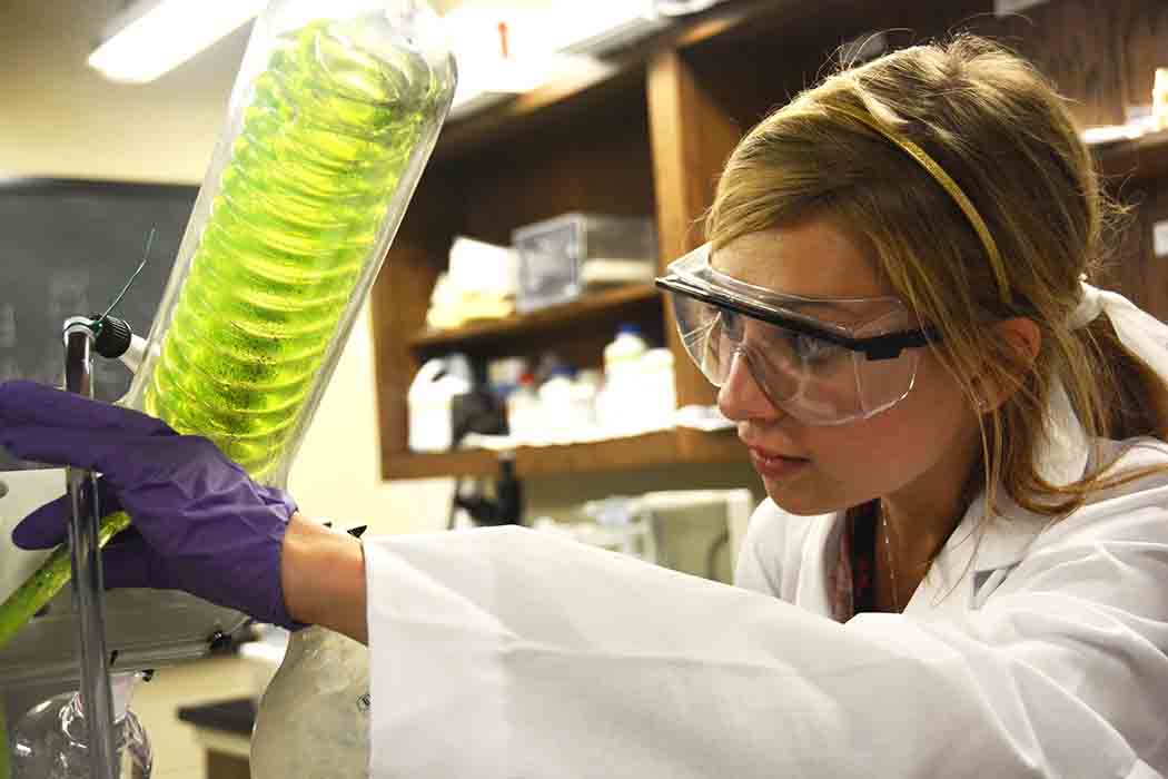 Summer research program provides hands-on experience