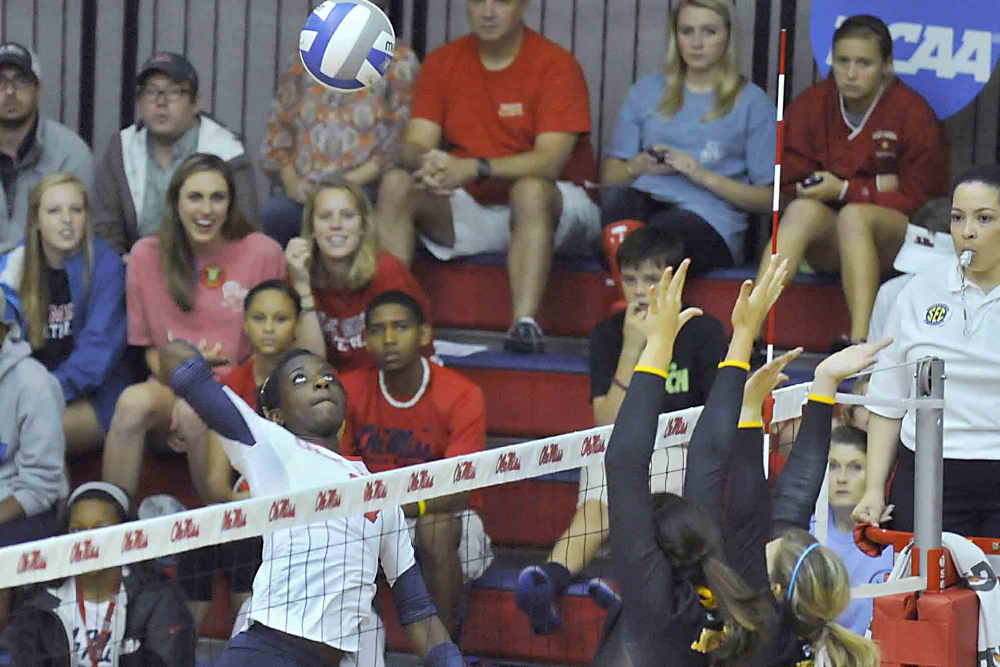 Feature: Bakima making early impact for Lady Rebs