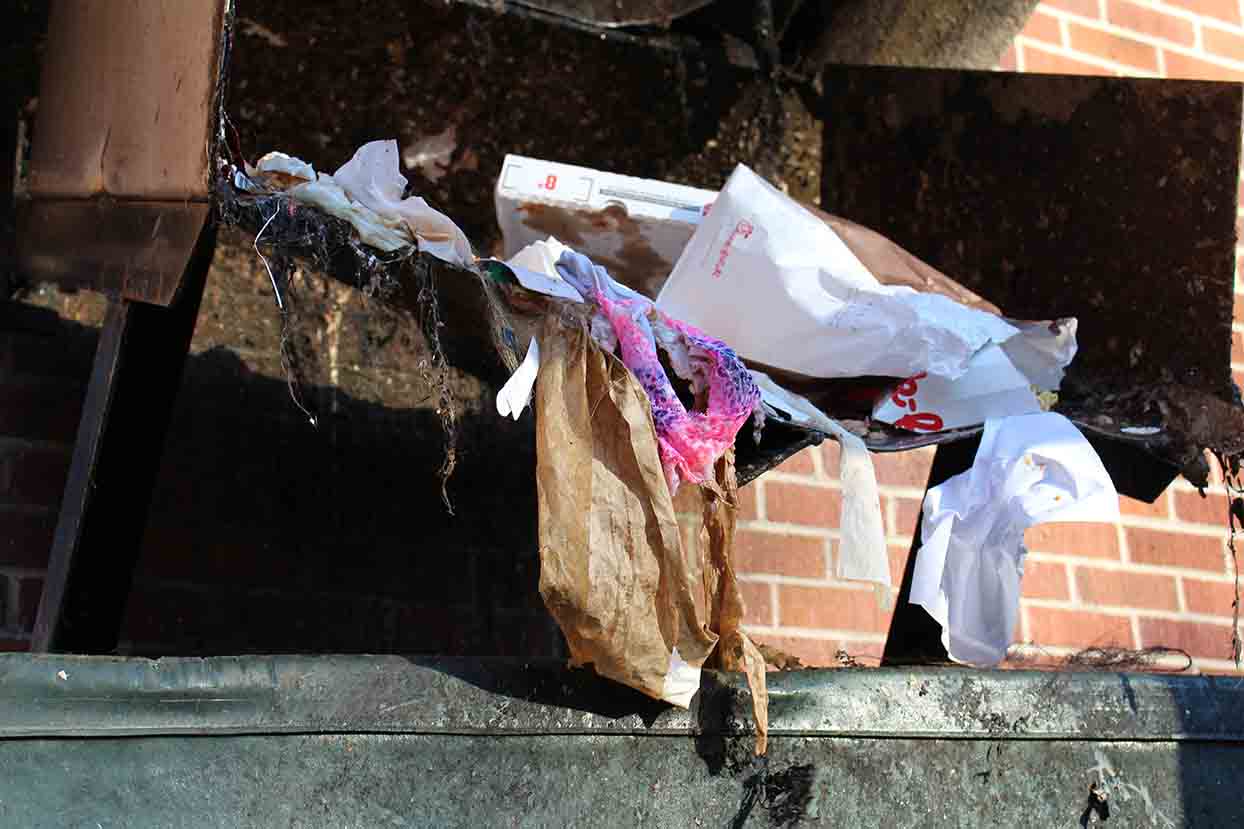 ‘Most Beautiful Campus’ hindered by littering problem