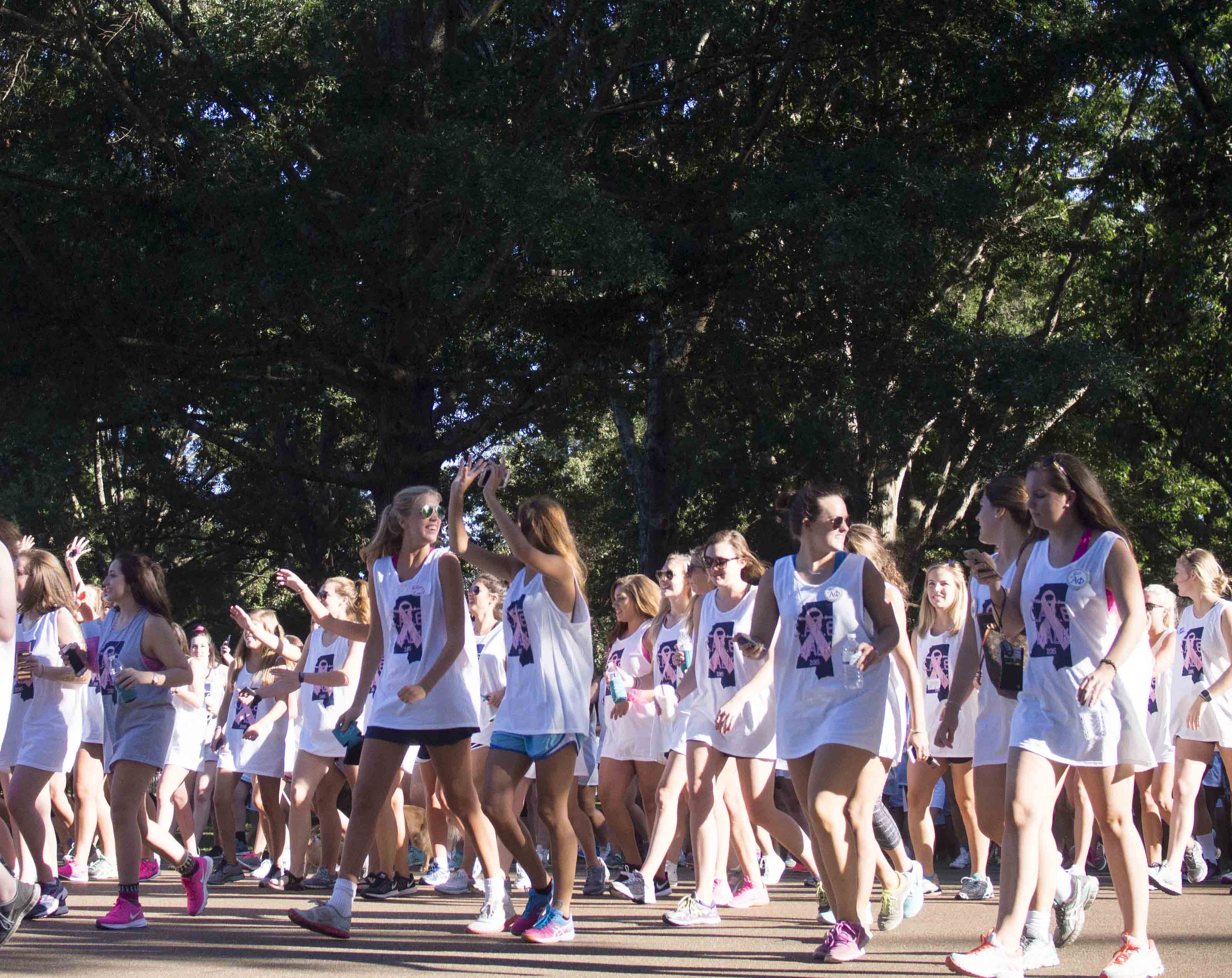 Walking for a cure: C.A.R.E. Walk 2015