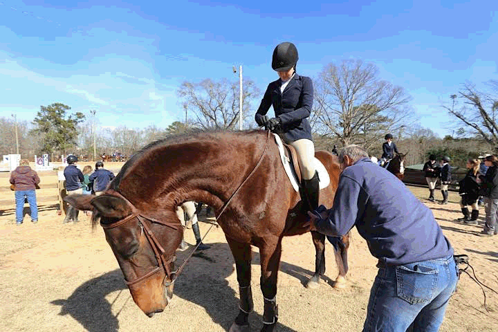 Equestrian team seeks funding for new facility in Oxford