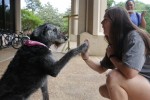 Lena (the dog) and Merv Webb high five each other.