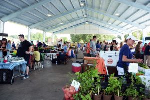 farmers market