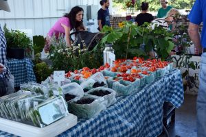 farmers market