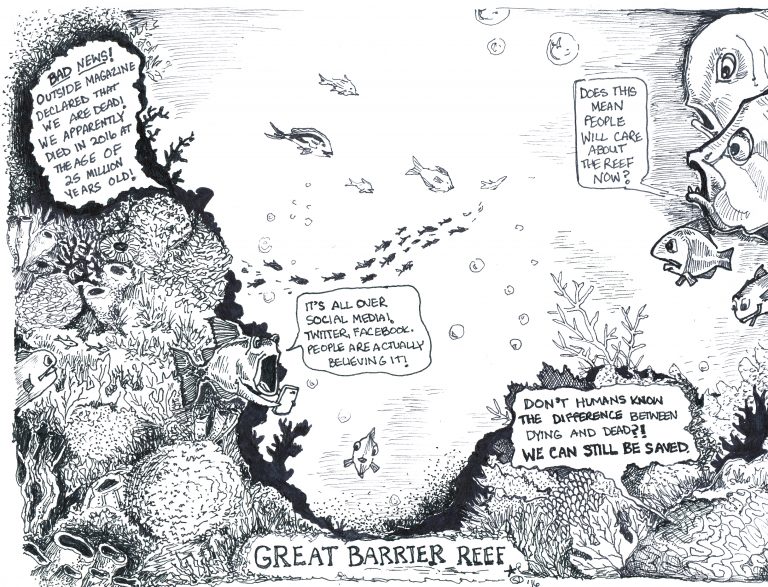 The Great Barrier Reef: Dying, Not Dead
