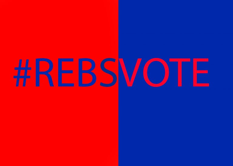 Local voters voice opinions at the polls