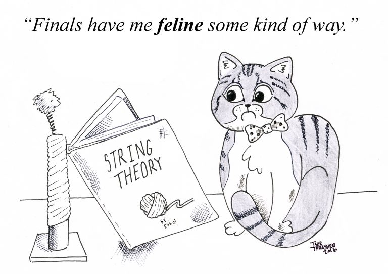 cat, sandwich, finals