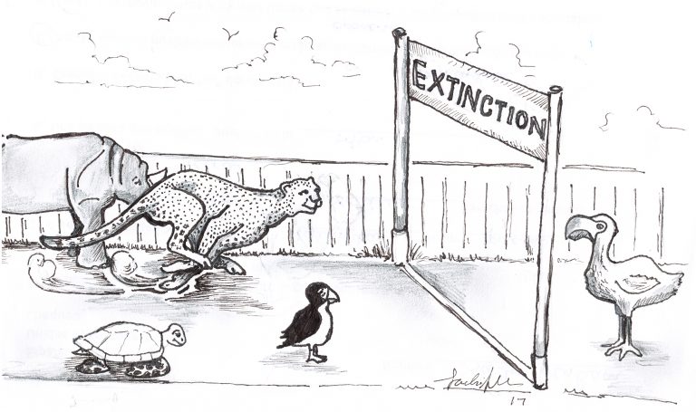 The Race Nobody Wants To Win