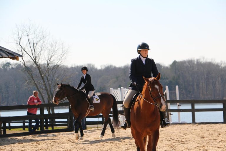 University equestrian team grows toward its own show