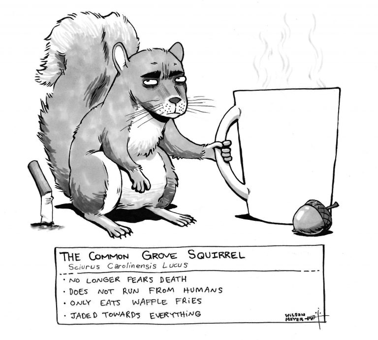 Grove squirrel encyclopedia entry