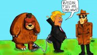 bear, russia, trump