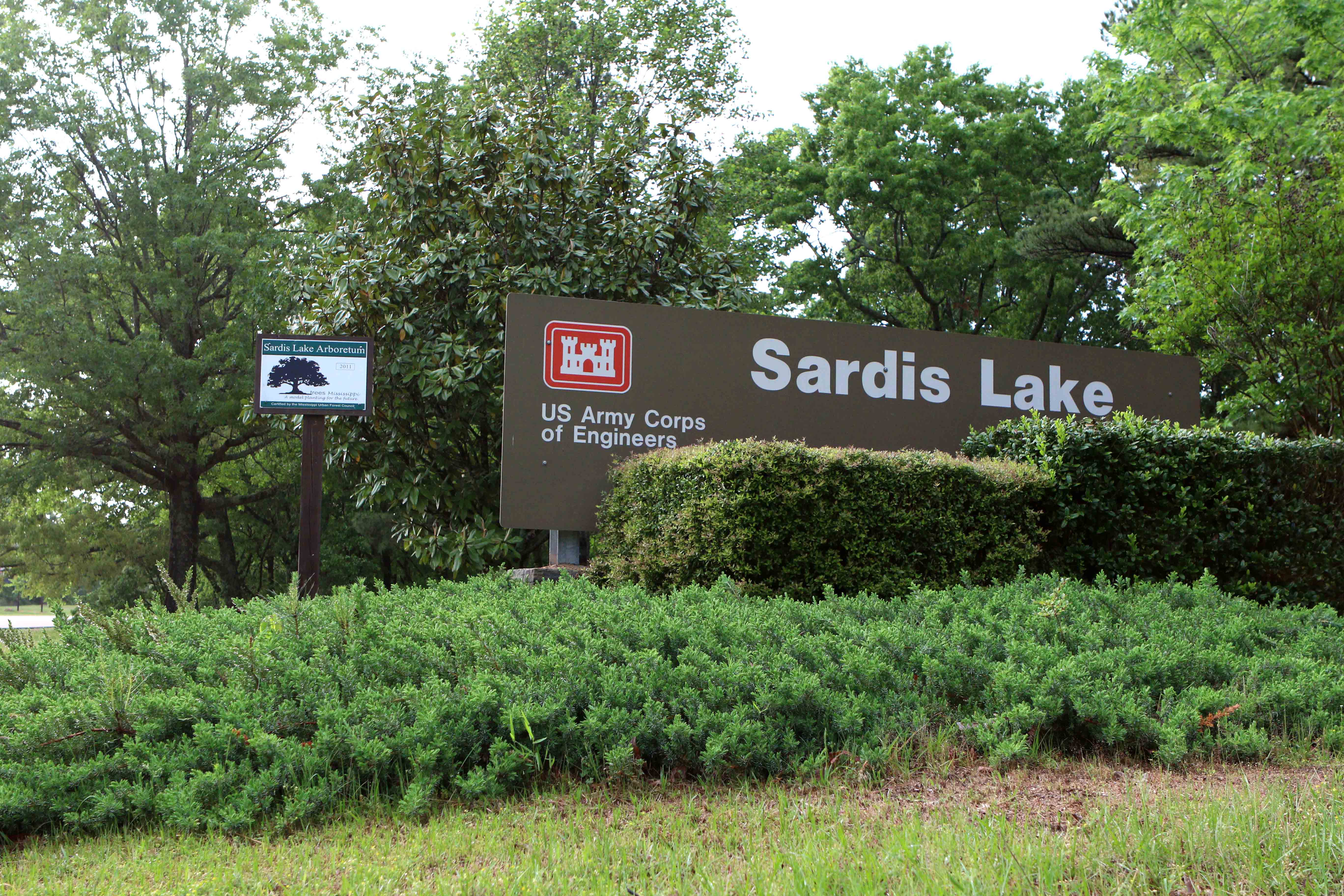 Sardis Lake