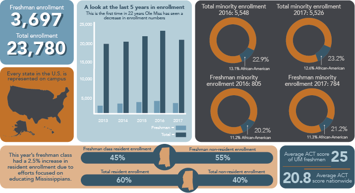 University enrollment numbers decline