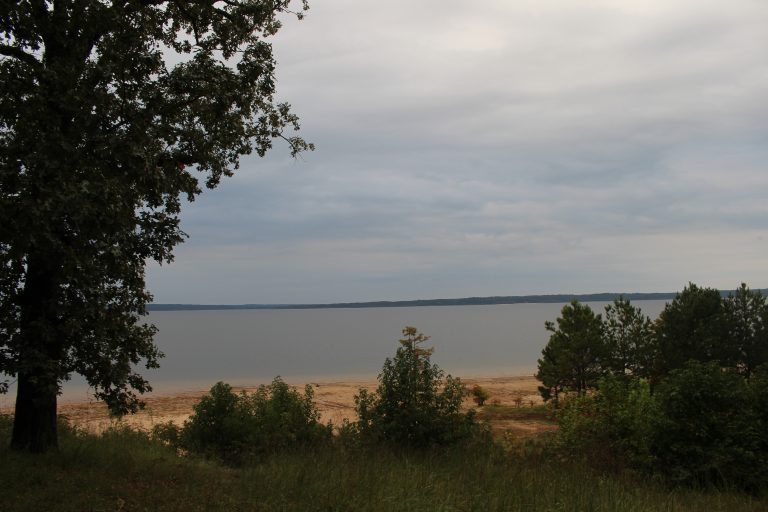 Annual Sardis Lake cleanup event hopes to see more participation