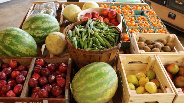 chicory market
