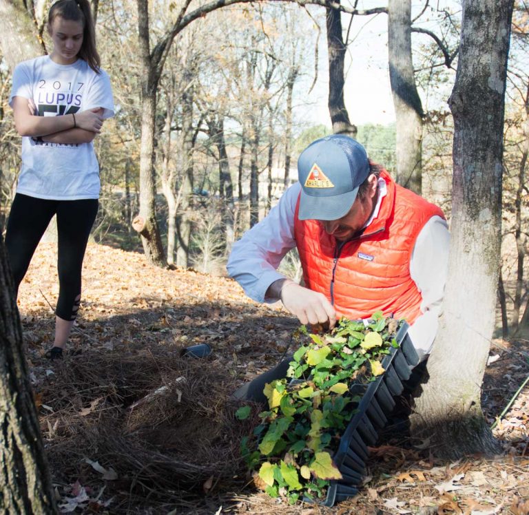 Office of Sustainability hosts annual Native Planting Day