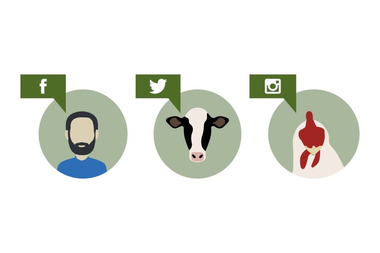 Social media bridges gap between farmers, consumers