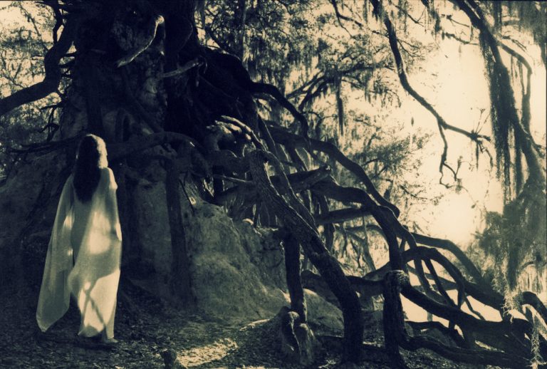 "Reverie and Roots" by Jaime Aelavanthara
