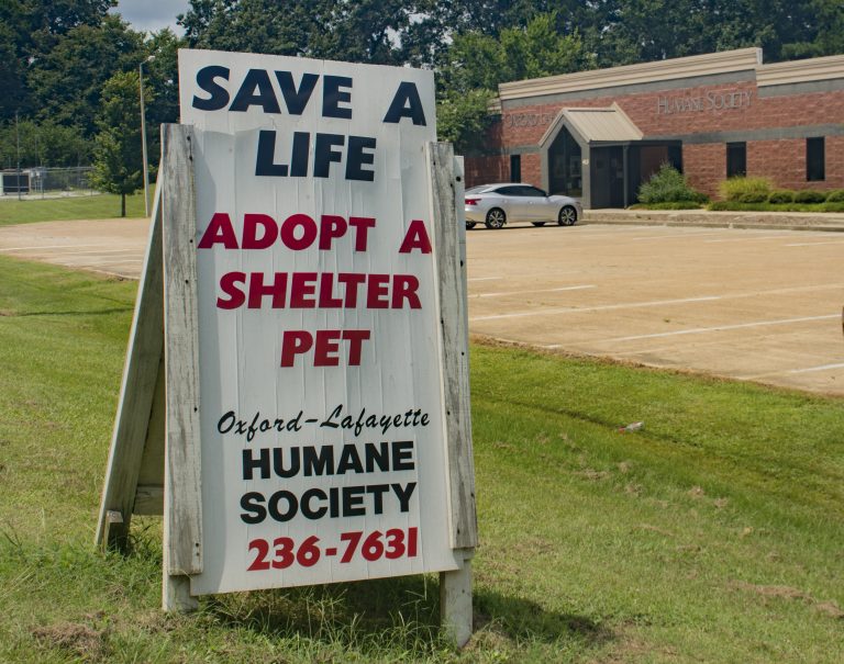 Opinion: Humane Society closure is for the right reasons