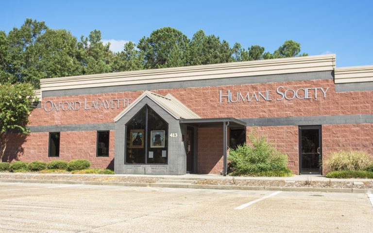 Humane society addresses illness, overpopulation issues