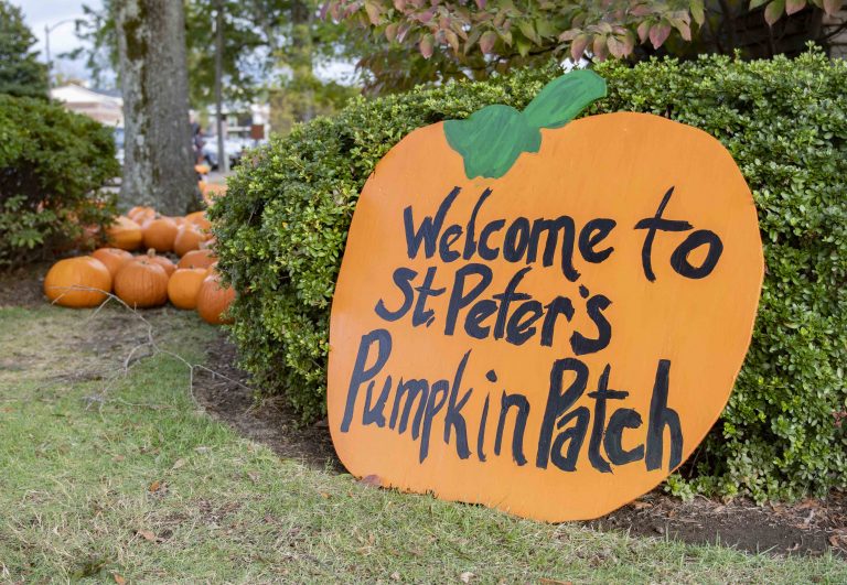 Local pumpkin patch prone to late-night vandalism